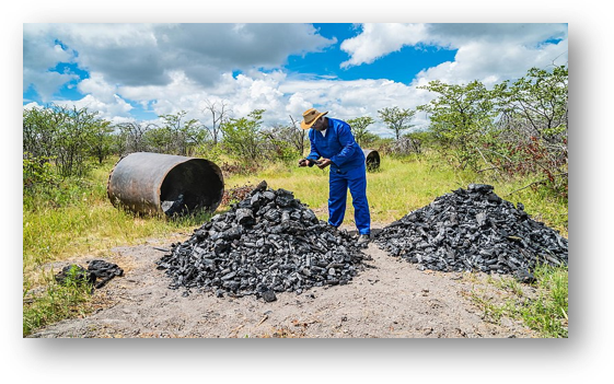 Charcoal and biomass